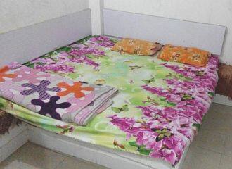 Hotel Badhan Inn, Ambikapur 3